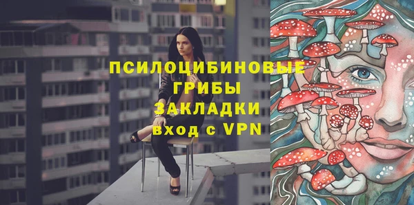 соль ск Заводоуковск