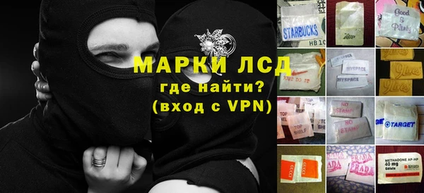 стаф Сосновка