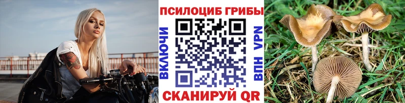 Галлюциногенные грибы GOLDEN TEACHER  как найти закладки  Спасск-Дальний 