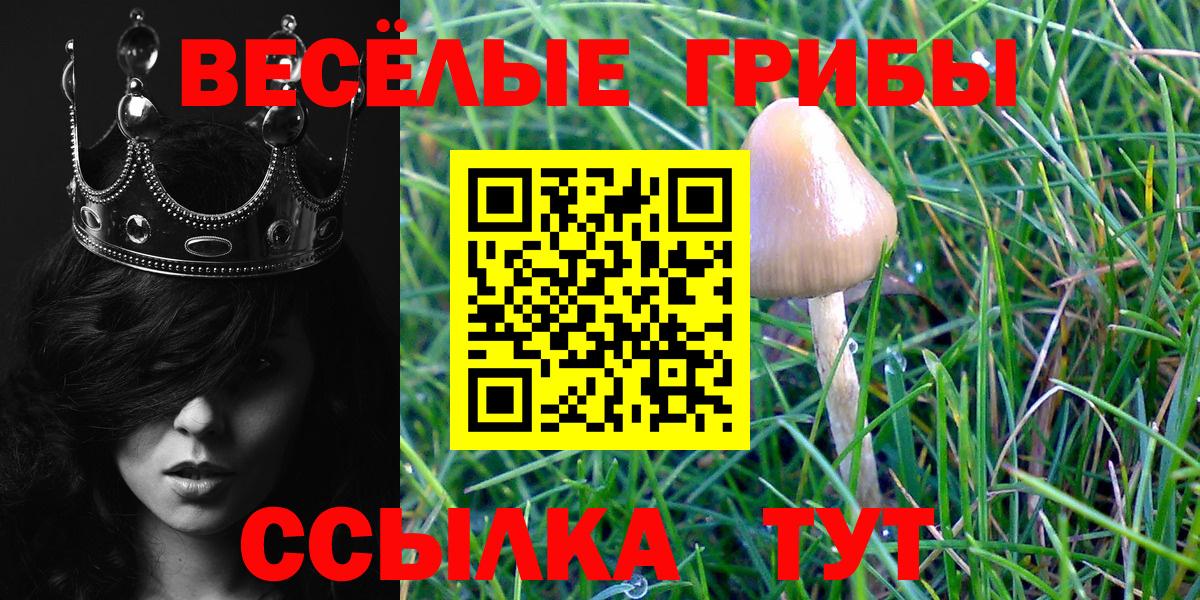 Галлюциногенные грибы мицелий Спасск-Дальний