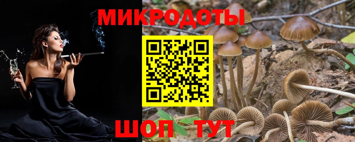 Галлюциногенные грибы MAGIC MUSHROOMS  Псилоцибиновые грибы мицелий  Вход с VPN  Спасск-Дальний 