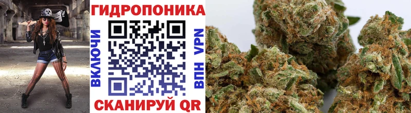 Шишки марихуана SATIVA & INDICA наркота блэк спрут ссылка Спасск-Дальний